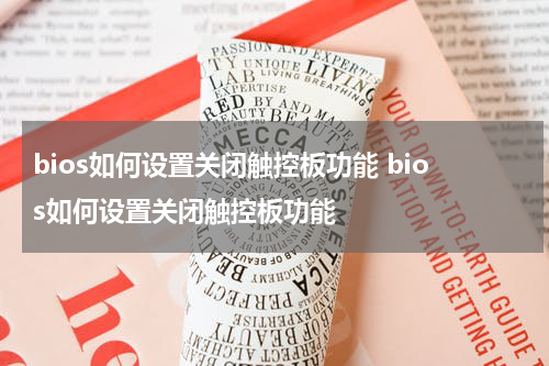 bios如何设置关闭触控板功能 bios如何设置关闭触控板功能