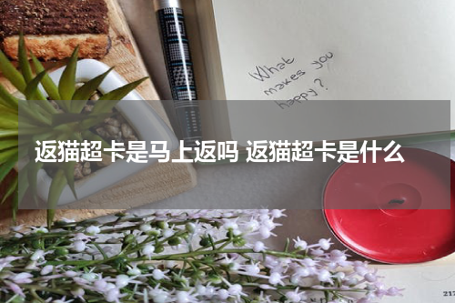 返猫超卡是马上返吗 返猫超卡是什么