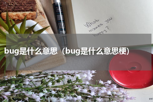 bug是什么意思（bug是什么意思梗）