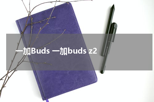 一加Buds 一加buds z2