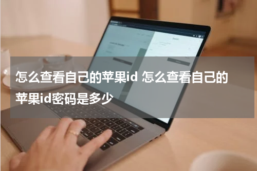 怎么查看自己的苹果id 怎么查看自己的苹果id密码是多少