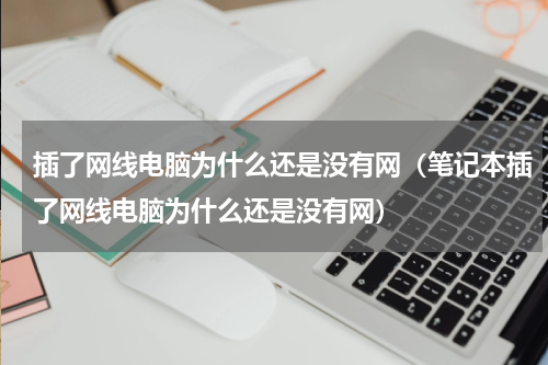 插了网线电脑为什么还是没有网（笔记本插了网线电脑为什么还是没有网）