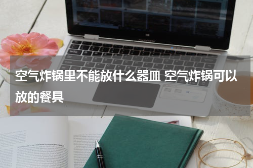 空气炸锅里不能放什么器皿 空气炸锅可以放的餐具