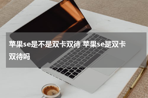 苹果se是不是双卡双待 苹果se是双卡双待吗