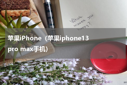 苹果iPhone（苹果iphone13pro max手机）