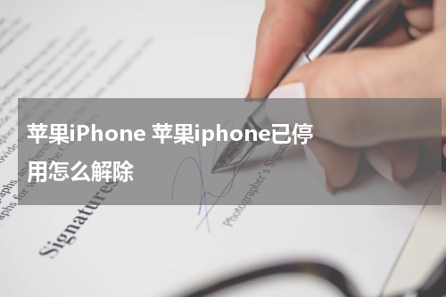苹果iPhone 苹果iphone已停用怎么解除