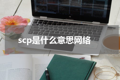 scp是什么意思网络