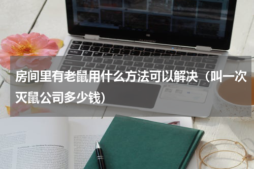 房间里有老鼠用什么方法可以解决（叫一次灭鼠公司多少钱）