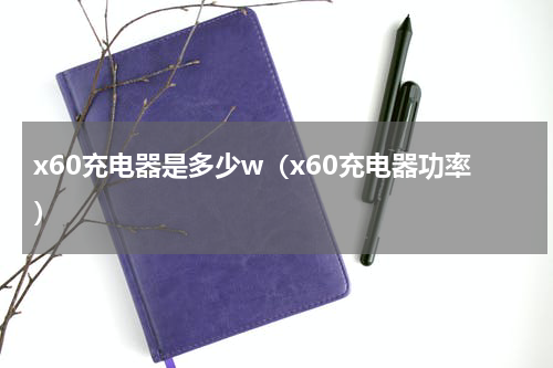 x60充电器是多少w（x60充电器功率）