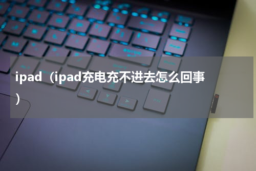 ipad（ipad充电充不进去怎么回事）