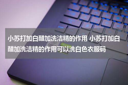 小苏打加白醋加洗洁精的作用 小苏打加白醋加洗洁精的作用可以洗白色衣服码