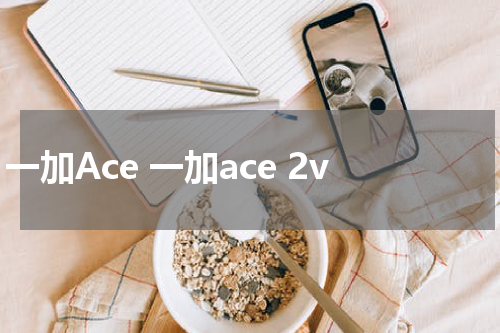 一加Ace 一加ace 2v