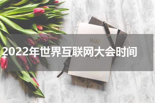 2022年世界互联网大会时间
