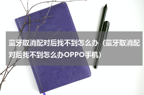 蓝牙取消配对后找不到怎么办（蓝牙取消配对后找不到怎么办OPPO手机）