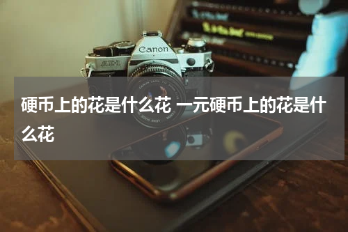 硬币上的花是什么花 一元硬币上的花是什么花