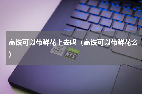 高铁可以带鲜花上去吗（高铁可以带鲜花么）