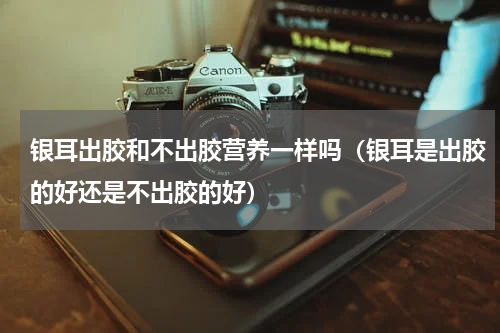 银耳出胶和不出胶营养一样吗（银耳是出胶的好还是不出胶的好）