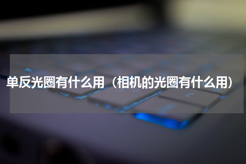 单反光圈有什么用（相机的光圈有什么用）