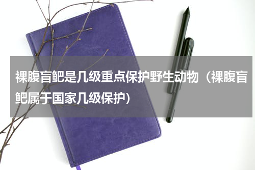 裸腹盲鲃是几级重点保护野生动物（裸腹盲鲃属于国家几级保护）