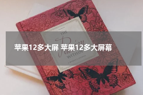 苹果12多大屏 苹果12多大屏幕