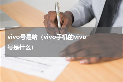 vivo号是啥（vivo手机的vivo号是什么）