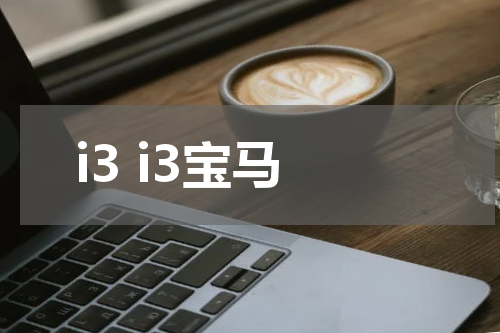 i3 i3宝马