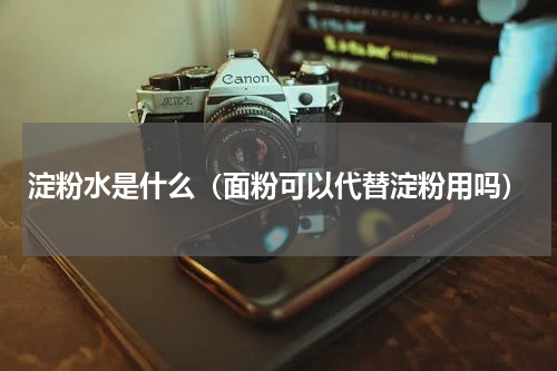淀粉水是什么（面粉可以代替淀粉用吗）