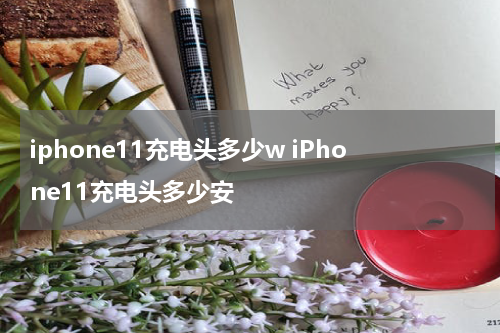 iphone11充电头多少w iPhone11充电头多少安