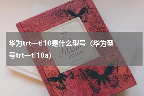 华为trt一tl10是什么型号（华为型号trt一tl10a）