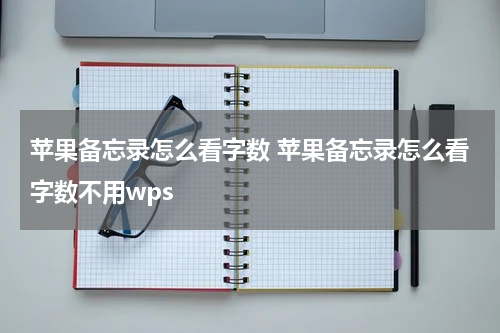 苹果备忘录怎么看字数 苹果备忘录怎么看字数不用wps