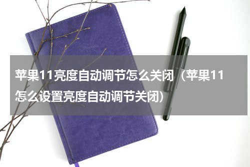 苹果11亮度自动调节怎么关闭（苹果11怎么设置亮度自动调节关闭）