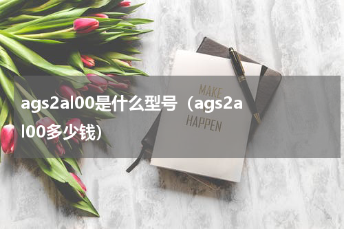 ags2al00是什么型号（ags2al00多少钱）