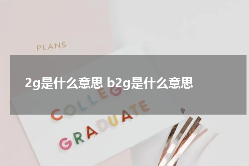 2g是什么意思 b2g是什么意思