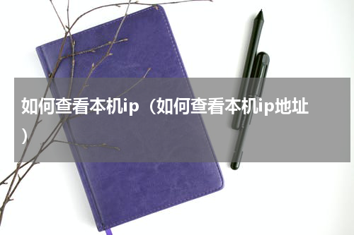如何查看本机ip（如何查看本机ip地址）