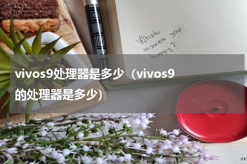 vivos9处理器是多少（vivos9的处理器是多少）