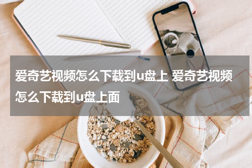 爱奇艺视频怎么下载到u盘上 爱奇艺视频怎么下载到u盘上面