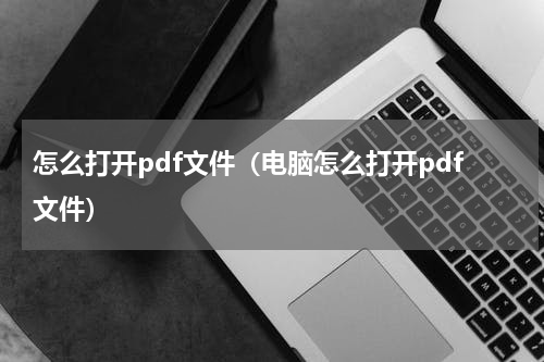 怎么打开pdf文件（电脑怎么打开pdf文件）