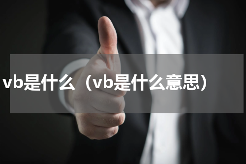 vb是什么（vb是什么意思）