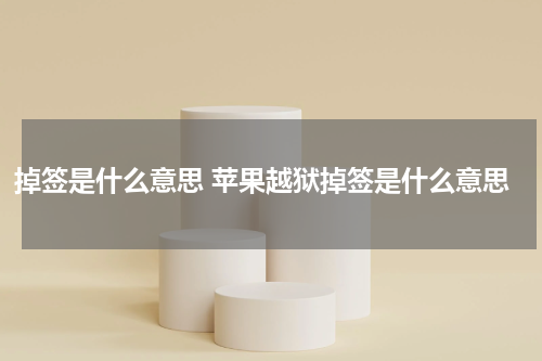 掉签是什么意思 苹果越狱掉签是什么意思