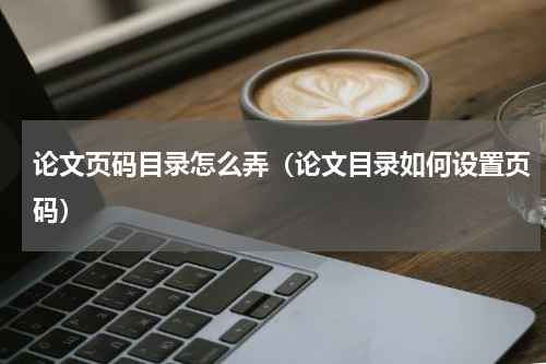 论文页码目录怎么弄（论文目录如何设置页码）