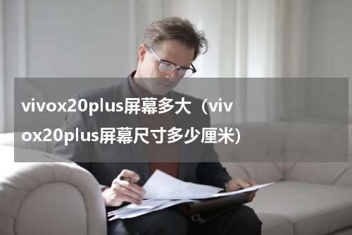 vivox20plus屏幕多大（vivox20plus屏幕尺寸多少厘米）