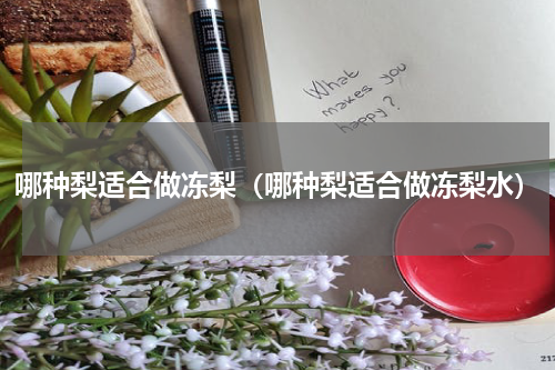 哪种梨适合做冻梨（哪种梨适合做冻梨水）