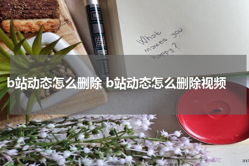 b站动态怎么删除 b站动态怎么删除视频