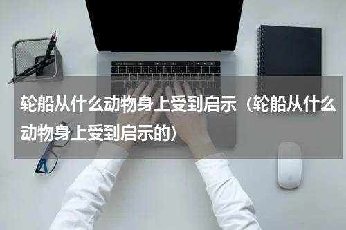轮船从什么动物身上受到启示（轮船从什么动物身上受到启示的）