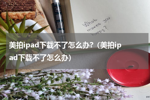 美拍ipad下载不了怎么办?（美拍ipad下载不了怎么办）