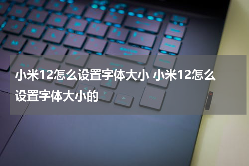 小米12怎么设置字体大小 小米12怎么设置字体大小的