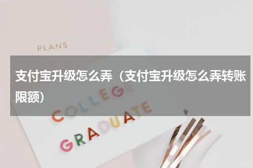 支付宝升级怎么弄（支付宝升级怎么弄转账限额）