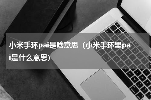 小米手环pai是啥意思（小米手环里pai是什么意思）