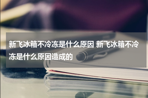 新飞冰箱不冷冻是什么原因 新飞冰箱不冷冻是什么原因造成的