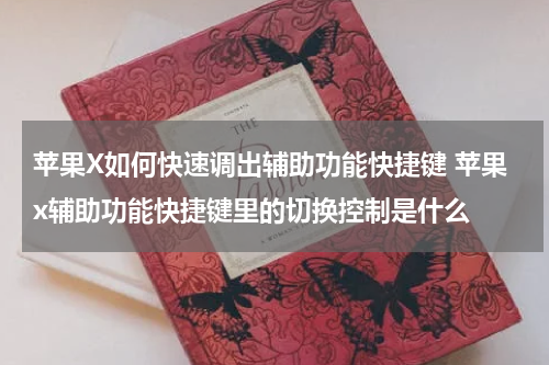 苹果X如何快速调出辅助功能快捷键 苹果x辅助功能快捷键里的切换控制是什么
